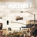 Aedm Vinyl