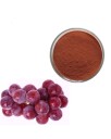 SunnRask Grape Seed Extract 100g