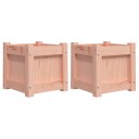 Hageplantekasse 2 stk heltre douglasgran