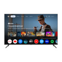 Cepter 55" 4K UHD Google TV CR55EU7002A