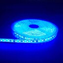 5m 10W/m Blå LED strip   24V DC IP65 120 LED pr. meter   Kulør : Blå