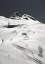 freeride Poster Plakat / 40x50cm