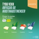Nicorette 2 mg tyggegummi Icemint 105 stk.