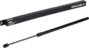RIDEX 219G0970 Baklukedemper