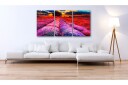 Tavle Land Of Colours 120X60 Artgeist sp. z o. o.