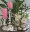 Hagepynt Katt for planting av blomster