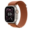 Apple 49/46 mm Terracotta Alpine Loop   Small   Natural Titanium Finish