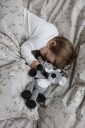 Teddykompaniet Diinglisar Koala Spilledåse Grå