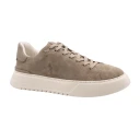 Polo Ralph Lauren Herre Sko Beige 44 EU,