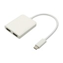 Eletra USBC HDMI Dual adapter