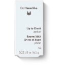 Dr. Hauschka Lip to Cheek Apricot 01  6 g