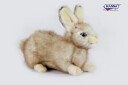 Kanin Kosedyr Beige 20cm Hansa Creation