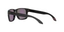 Oakley Holbrook XL Prizm Black Polarized, Woodgrain Innfatning