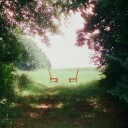 Ratboys  Singin' to an Empty Chair  CD