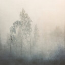 Whispers Through the Mist Plakat Plakat / 30x30cm