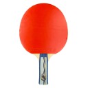Rucanor TTB 150 bordtennisball (5 stjerner)