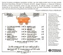 Samson Schmitt  Esperanza  CD