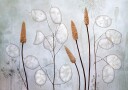 Lunaria  Poster Plakat / 100x150cm