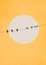 Chirping and Chilling Plakat Plakat / 50x70cm