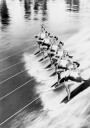 Women Water Skiing Plakat Plakat / 40x50cm