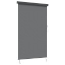 vidaXL Rullegardin Lysegrå 60 x 250 cm Stoff og Aluminium
