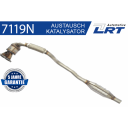 Katalysator LRT 7119N