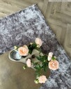 Ryetepper   Cosy greige Størrelse: 200 x 300 cm