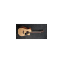 Ibanez AW417CE-OPS
