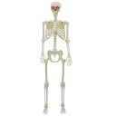  Halloween Skjelett Hvit 155 x 38.5 cm Plast