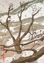 The Beautiful Cold Winters Stream Plakat Plakat / 21x30cm