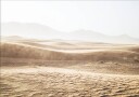 Serene Desert Sand Dunes Plakat Plakat / 100x150cm