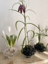 Hein Studio Canyon Mini vase 8 cm New smoke