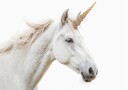 Unicorn Plakat Plakat / 100x150cm