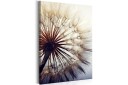 Bilde Beautiful Summer 40x60 Artgeist sp. z o. o.
