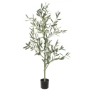 Mr Plant Oliventre 120 cm