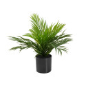 Europalms Areca Palm, Artificial Plant 46 Cm