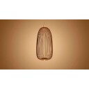 Foscarini - Spokes 1 LED Pendel Dimmbar Grafitt