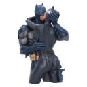 Nemesis Now Batman & Catwoman Byst med Håndmalt Detalj - 34 cm