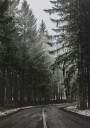 Forest Road in Winter Plakat Plakat / 21x30cm