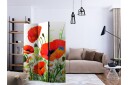 Kadira Rumsavdelare 135x172 cm VALUE_MISSING_1 -