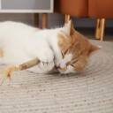 Cat Stick Katteleke Med Poligonum Ca 25 cm