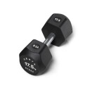 CENTR x HYROX Urethane Dumbbell Hex hantler