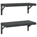Vegghyller 2 stk 50x23,5 cm svart rustfritt stål