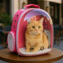 Movapet Panorama Reiseveske Til Hund Og Katt