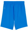 Puma Sportshorts TeamGOAL Elektrisk Blue Lemonade m. Hvit Puma 6 år 116 Shorts Blå