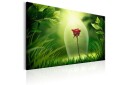 Tavle Magical Rose 60X40 Artgeist sp. z o. o.