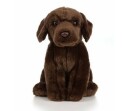 Living Nature Chocolate Labrador