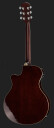 Yamaha APX 600 FM Amber