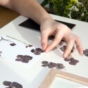 Kikkerland Ramme for Pressede Blomster 5.1" x 6.75" MDF og Bøk