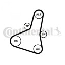 Kileremsett CONTITECH 6PK1004 EXTRA K1